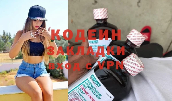 шишки Гусь-Хрустальный