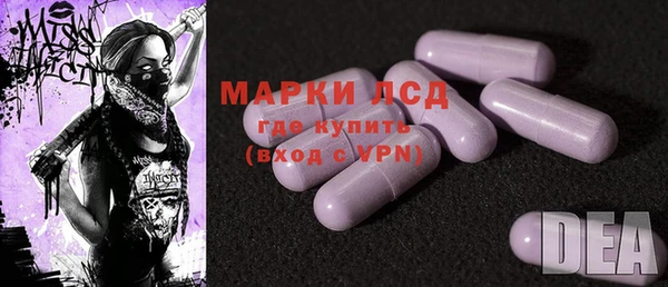 шишки Гусь-Хрустальный