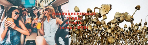 шишки Гусь-Хрустальный