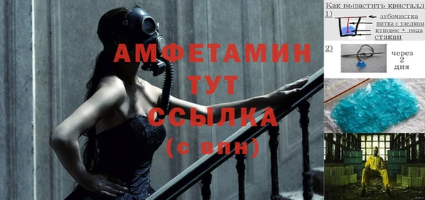 шишки Гусь-Хрустальный