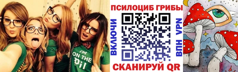 Галлюциногенные грибы Psilocybe  Москва 